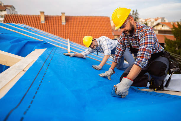 Best Roof Waterproofing Services  in Chleston, AR